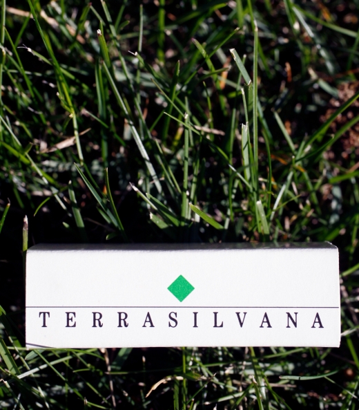 TERRASILVANA